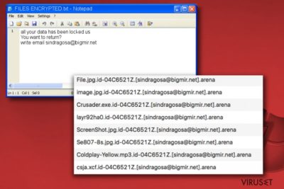Arena ransomware-melding FILES ENCRYPTED.txt