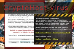 An illustration of CryptoHost virus