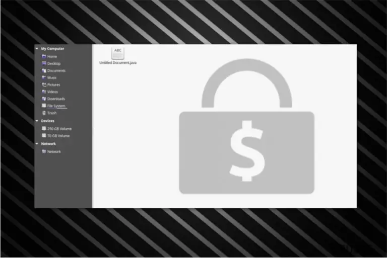 .java file extension ransomware image